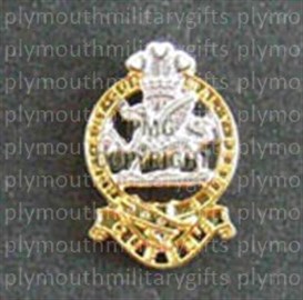 Queens Regiment Lapel Pin